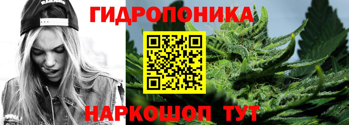 Каннабис индика  Вход с VPN  Горно-Алтайск  Бошки марихуана MAZAR  Конопля планчик 
